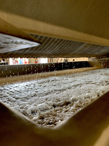 Roussanne in the press