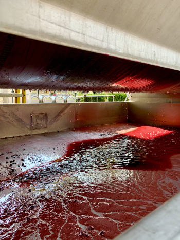 Mourverdre in the press