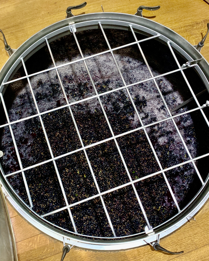 Syrah in wooden upright Aug 2020