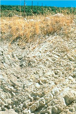 Tablas Creek - calcareous rock cut