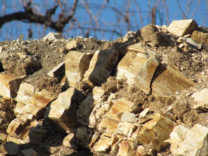 Tablas Creek - Calcareous Rocks and Vines