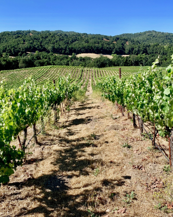 Long view of Nipple Flat