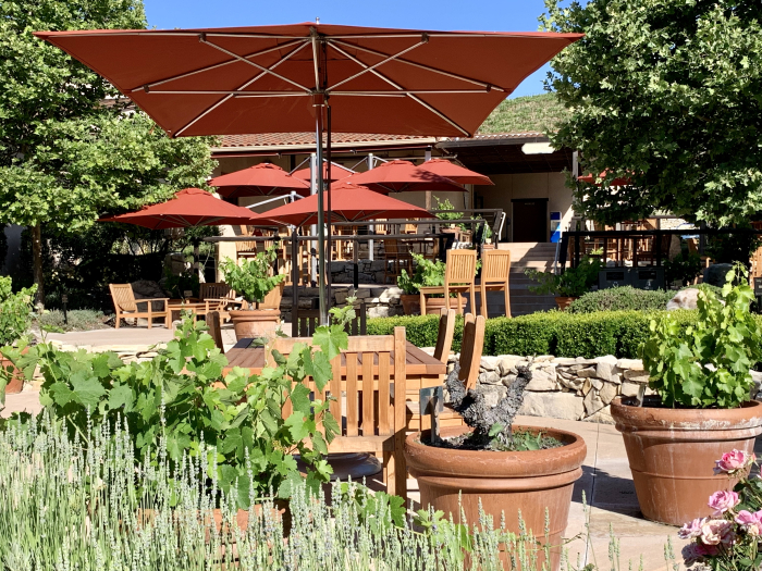 Outdoor tasting - View from below