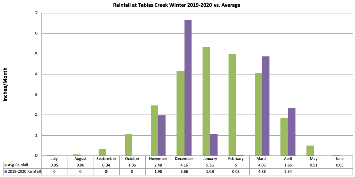 Winter Rainfall Graph 2019-20 vs Average