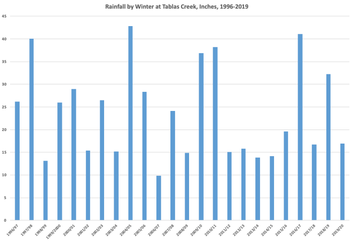 Rainfall by Winter 1996-2020