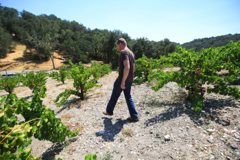 New_York_Times_Jason_Haas_Apr10_2020