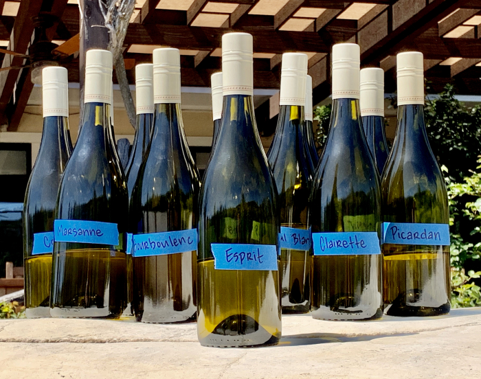 2019 white blends post-blending