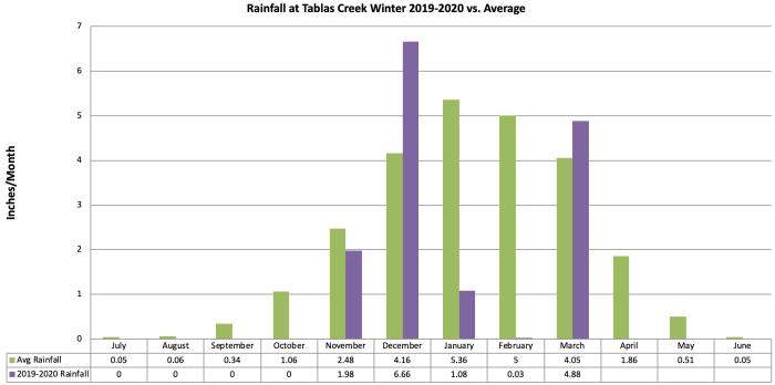 Winter 2019-20 Rainfall by Month