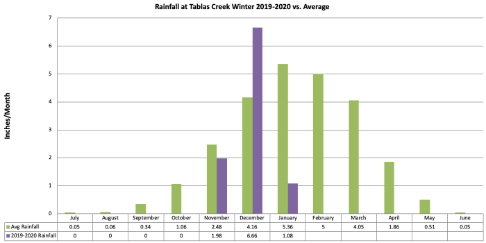 Rainfall Graph 2019-20 vs Average as of January