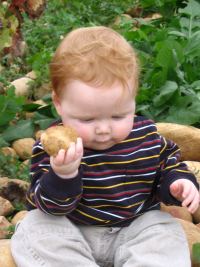 Eli Haas with Galets - Large