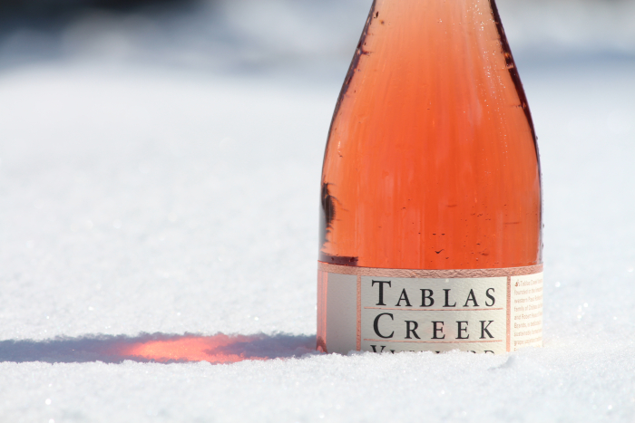 Dianthus in the snow