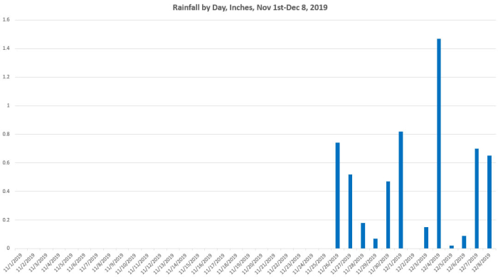Rainfall Graph