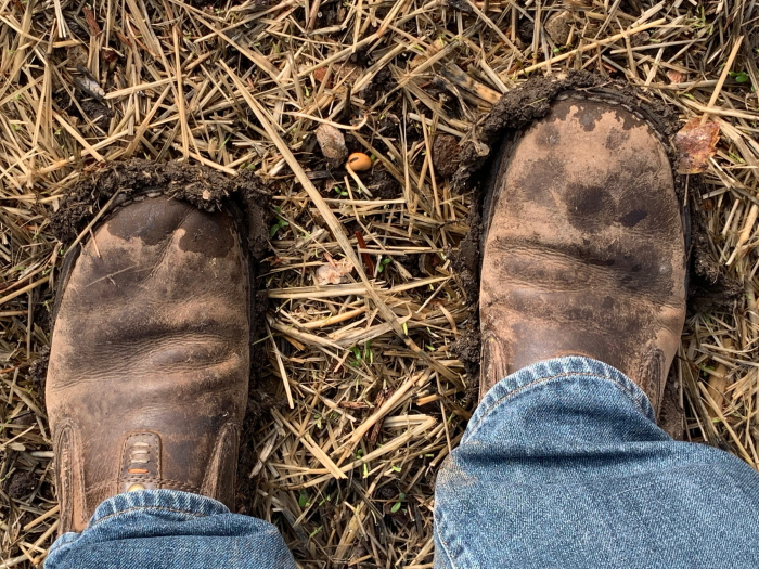 Muddy boots