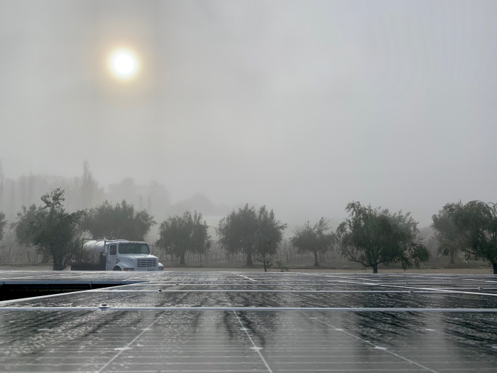 Solar panels vineyard truck and fog
