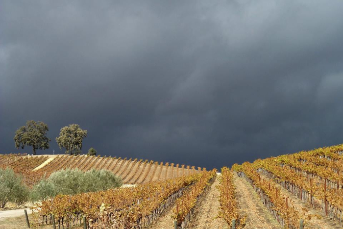 Dark clouds over Tablas Creek Nov 2015