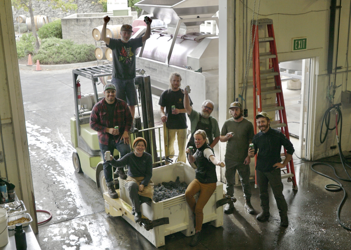 Cellar team with last pick of 2019