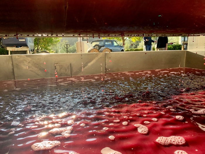 Mourvedre in the press