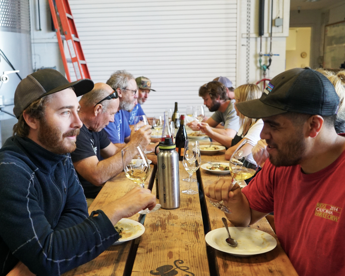 Wine Harvest Interns Staredown