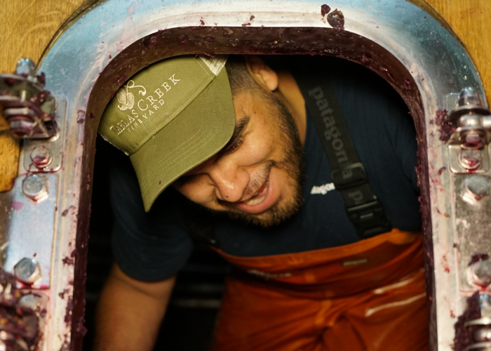 Wine Harvest Intern Tank Hole Adrian