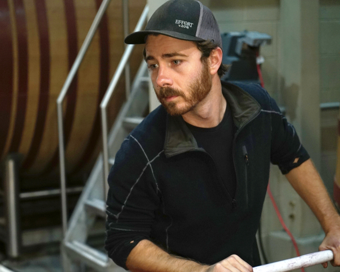 Wine Harvest Intern Working Ryan