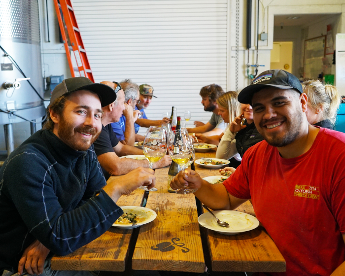 Wine Harvest Interns