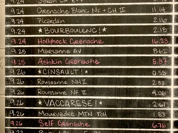 New Grapes on Chalkboard