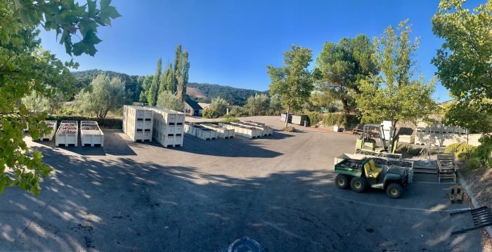 Mid-Sept Harvest - Parking Lot Panorama