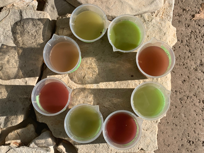 Mid-Sept Harvest - Samples