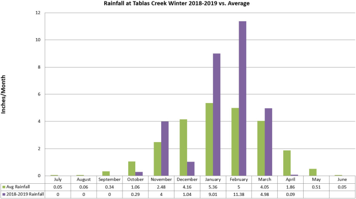 Winter Rainfall Graph 2018-19