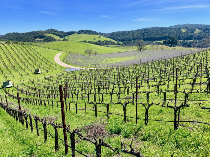 Tablas Creek Crosshairs Block