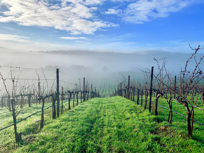 Looking down Nipple Flat