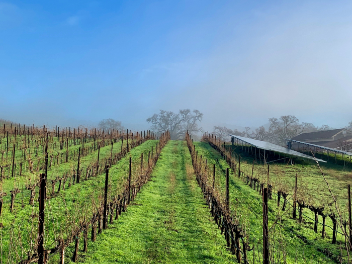 Solar panels and Mount Mourvedre