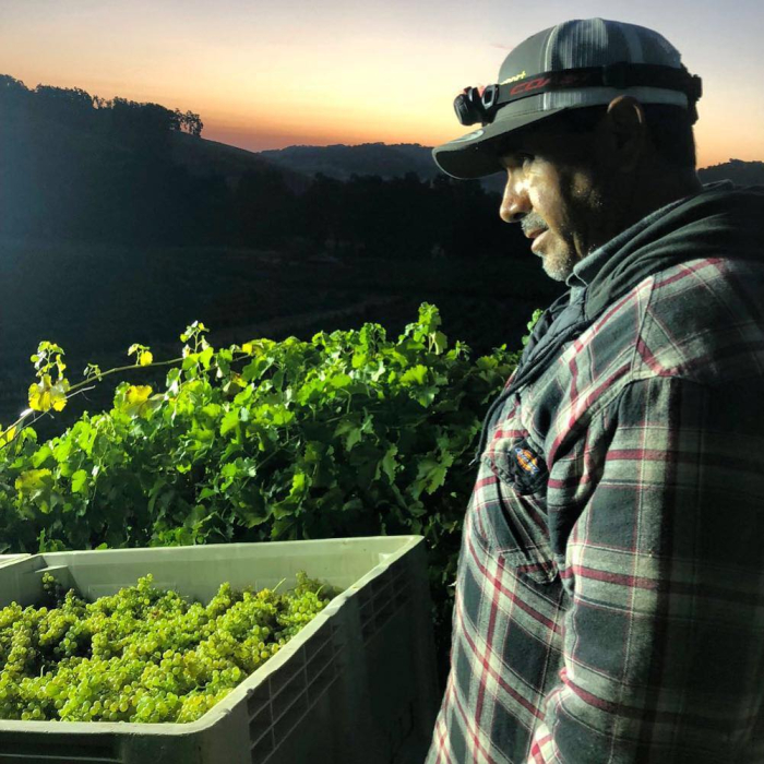 David with the years first pick