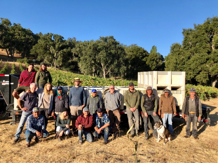 Full Circle Pinot harvest - Team photo