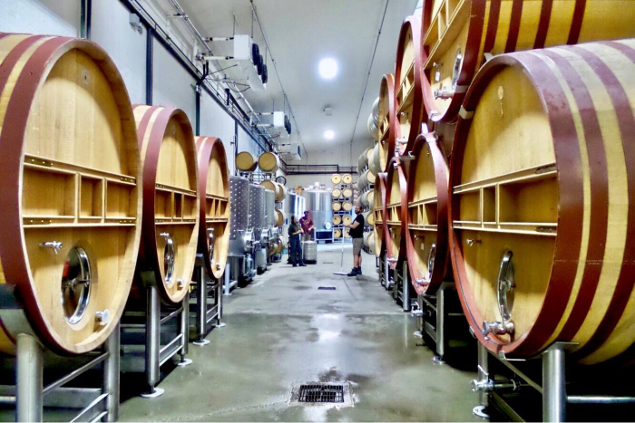 Clean cellar with new foudres August 2018