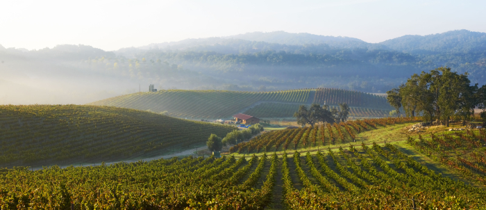 Tablas Creek Long View 2014