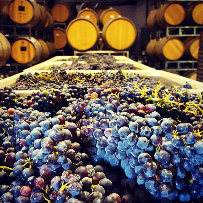 IMG_20170905_195332_259