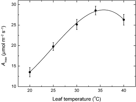 Figure-7-CO2-saturated-maximum-rates-of-photosynthesis-meanSE-of-Semillon-leaves-as Figure-7-CO2-saturated-maximum-rates-of-photosynthesis-meanSE-of-Semillon-leaves-as