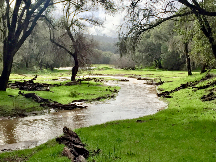 Las Tablas Creek Feb 2017