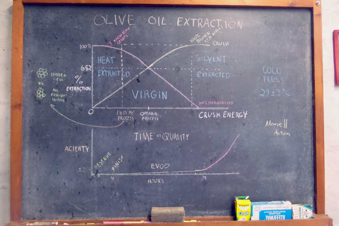Olive Oil Process