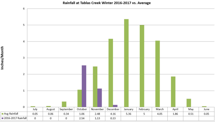 Rainfall Winter 2016-2017