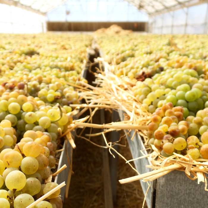 Vin de Paille closeup