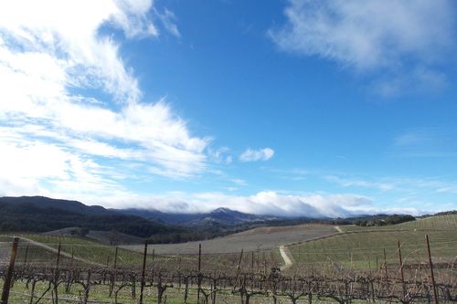 20151222_131156_resized 20151222_131156_resized