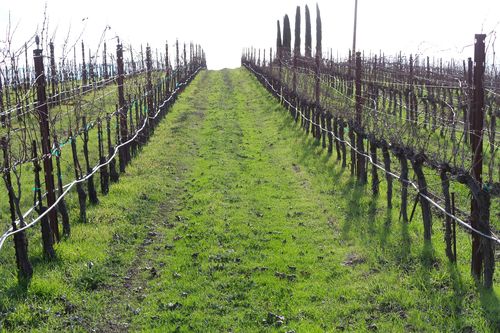 20151222_130717_resized 20151222_130717_resized