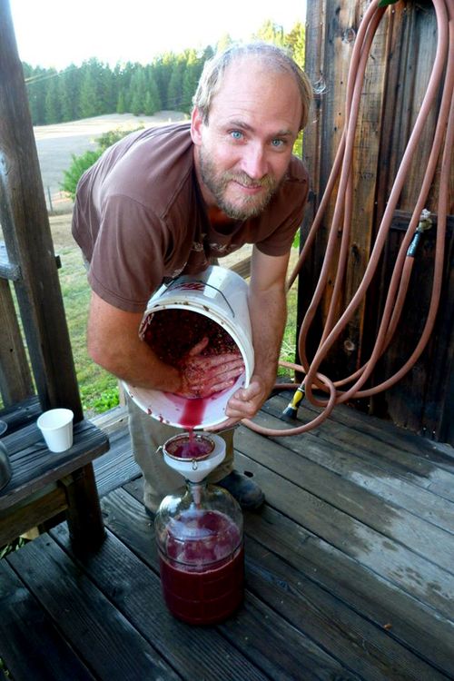 Winemaking Forrest