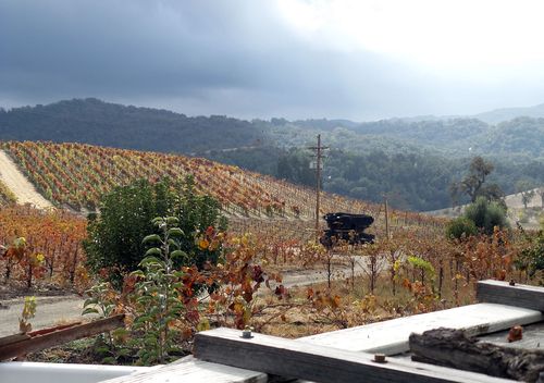 From truck looking west