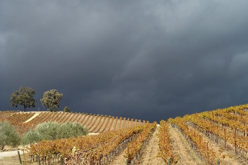 November Storm Gathering over Tablas Creek