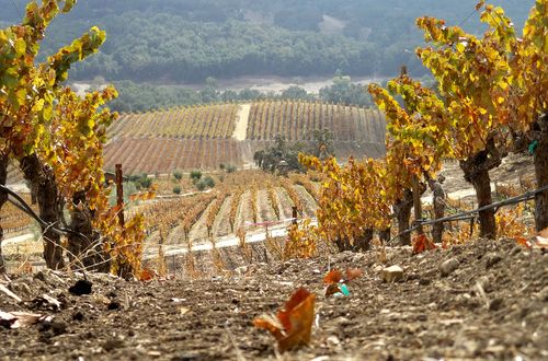 Autumn Long View 2015