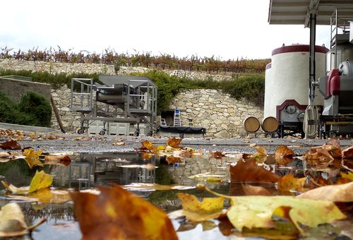 Winery and puddles