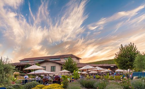 Tablas_Creek_20150815_194257_20003